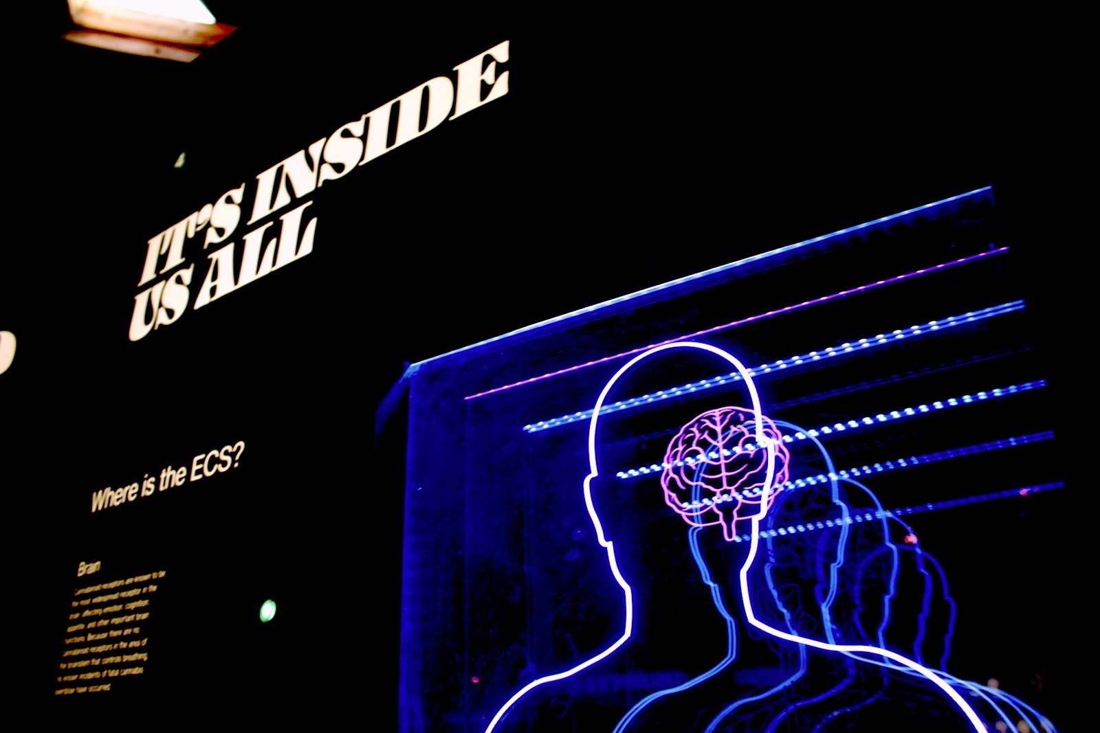 The psychology behind gambling.